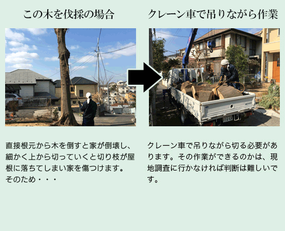 伐採（根元から切り倒す）をご希望のお客様へ