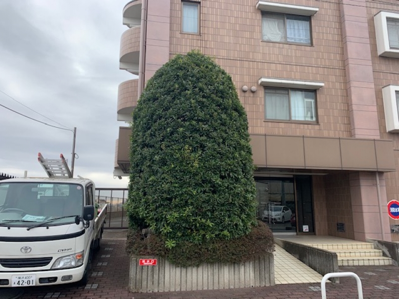 入間市下藤沢